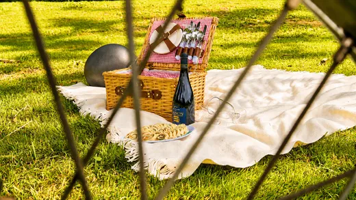 A vintage moped ride in the Loire Valley with ToursNmob