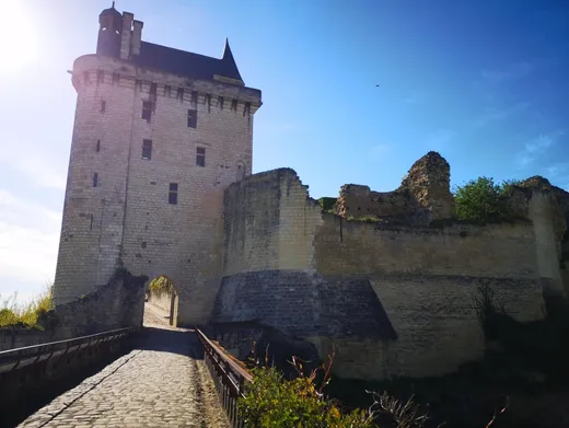 A vintage moped ride in the Loire Valley with ToursNmob