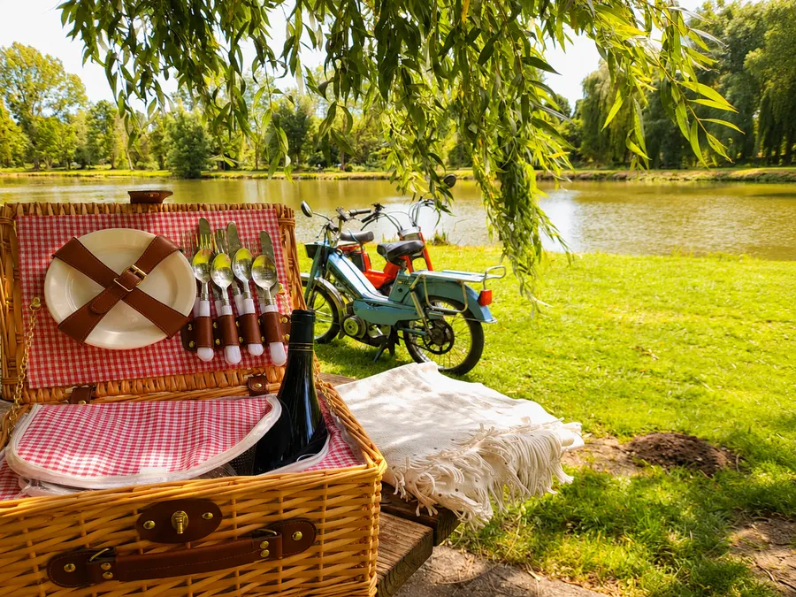 Gastropicnic