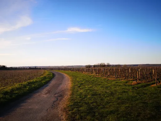 Balade en mobylette vintage en Touraine avec ToursNmob