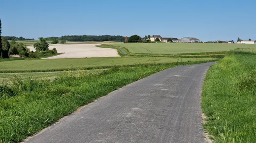 Balade en mobylette vintage en Touraine avec ToursNmob