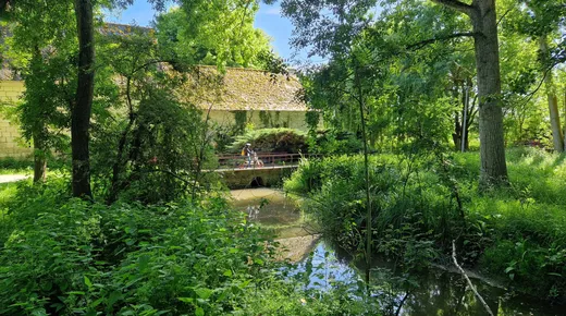 Balade en mobylette vintage en Touraine avec ToursNmob