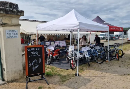 A vintage moped ride in the Loire Valley with ToursNmob