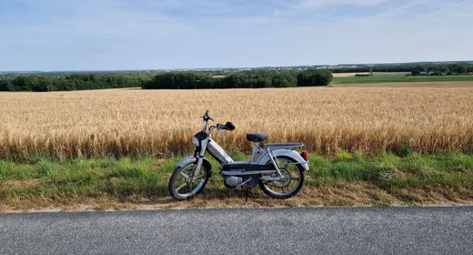 A vintage moped ride in the Loire Valley with ToursNmob
