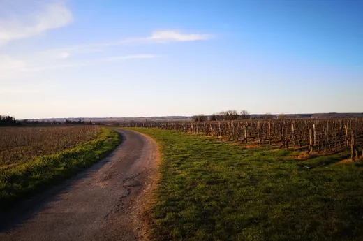 A vintage moped ride in the Loire Valley with ToursNmob