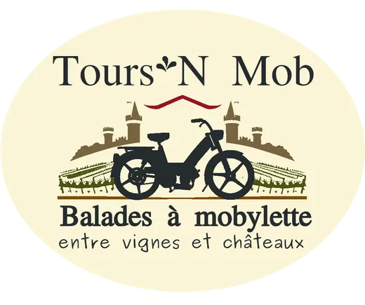 A vintage moped ride in the Loire Valley with ToursNmob