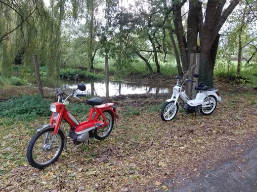 A vintage moped ride in the Loire Valley with ToursNmob