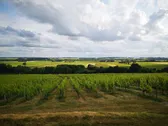 Vignoble AOC Chinon