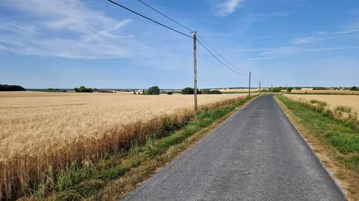 Balade en mobylette vintage en Touraine avec ToursNmob