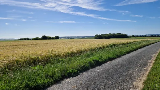 A vintage moped ride in the Loire Valley with ToursNmob