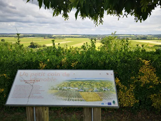 Balade en mobylette vintage en Touraine avec ToursNmob