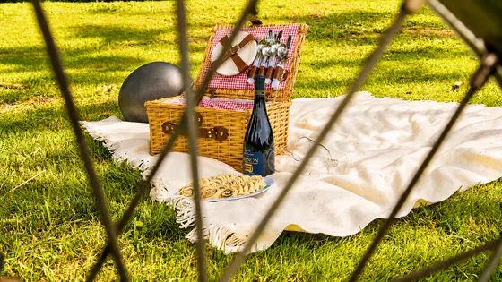Gastropicnic — Photo 3