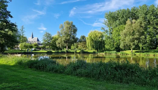 Balade en mobylette vintage en Touraine avec ToursNmob