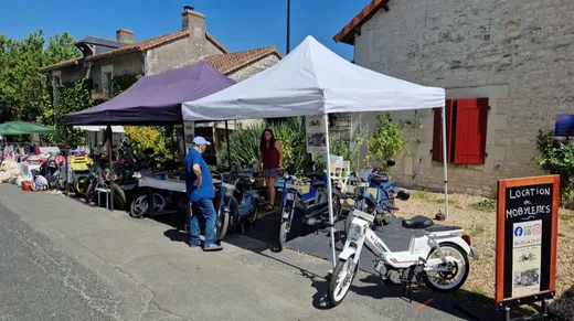 A vintage moped ride in the Loire Valley with ToursNmob